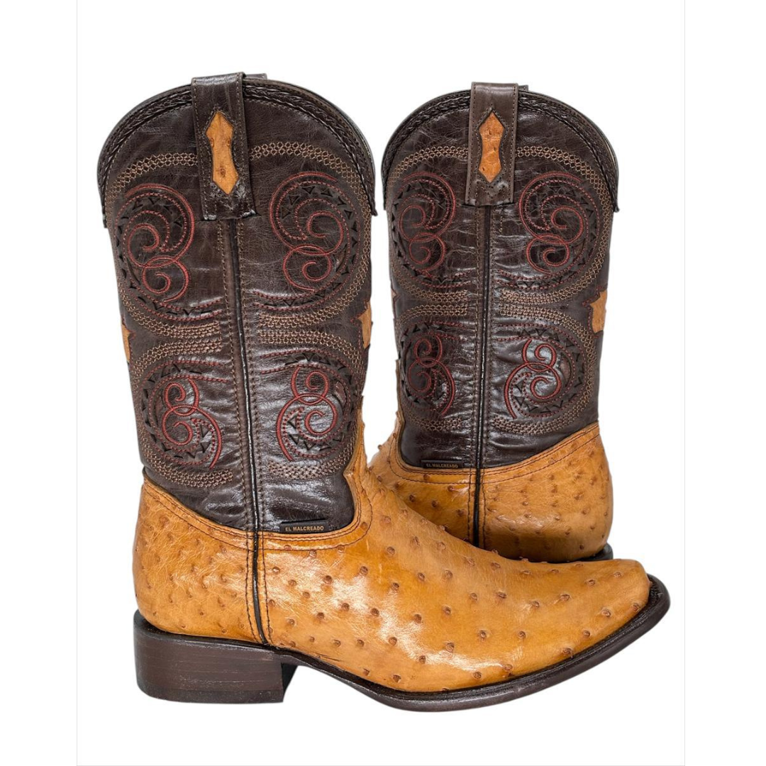 Dubay Avestruz Cacahuate