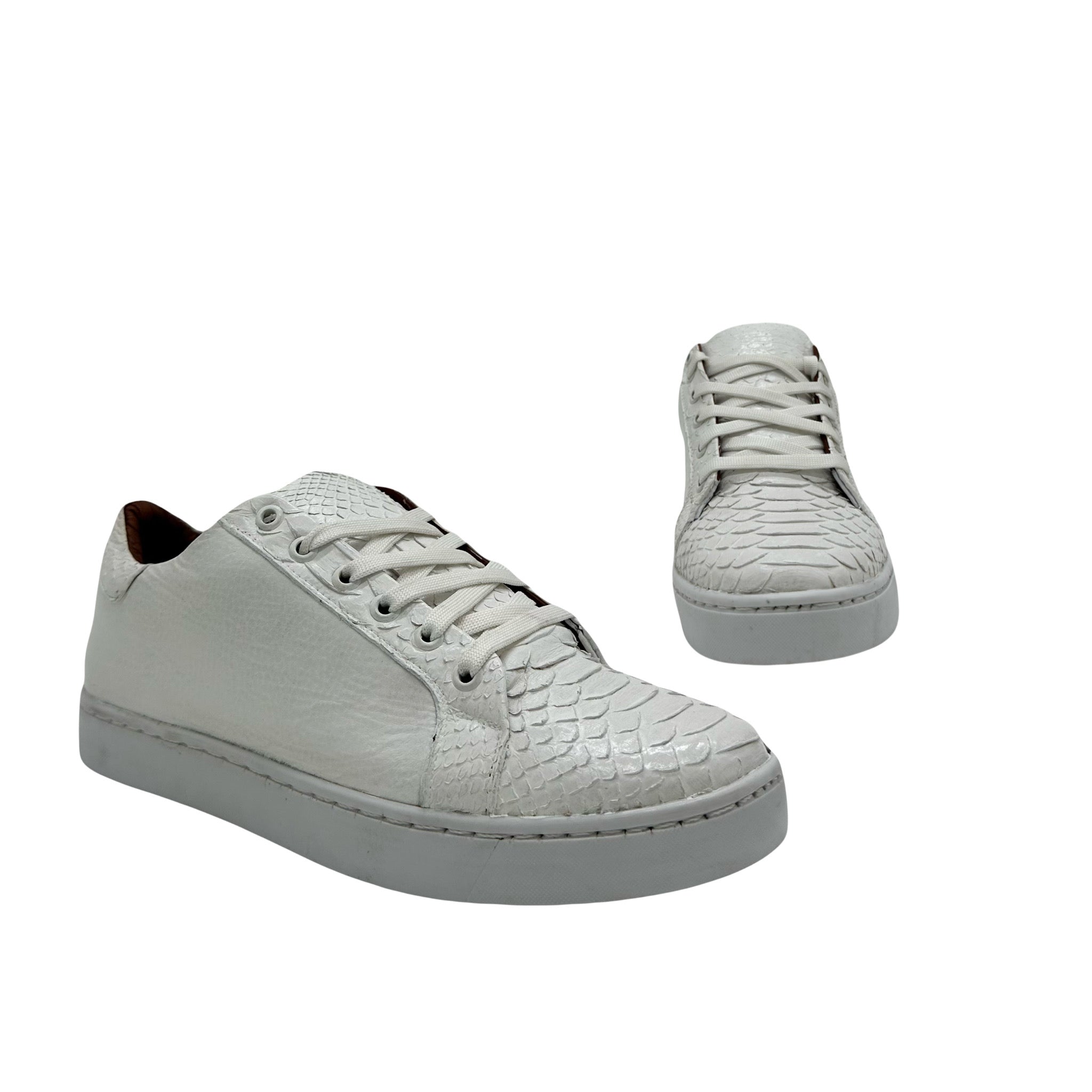 Max Python Blanco