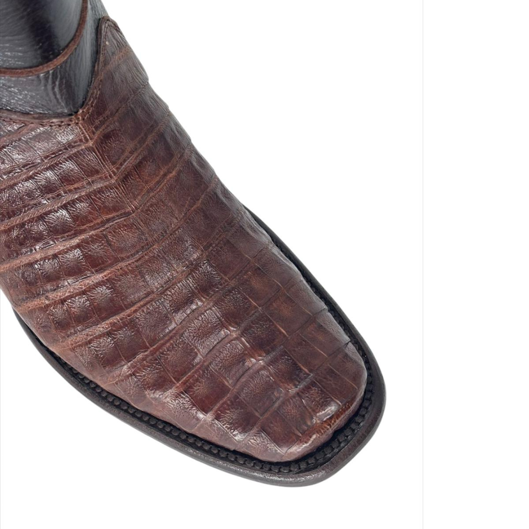 Maximo COCO Panza Tabaco