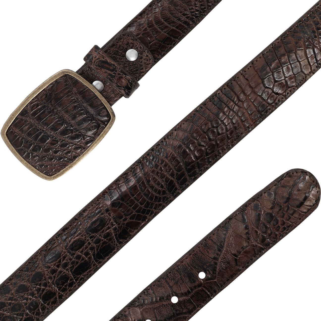 Cinto HC Cocodrilo Paris
