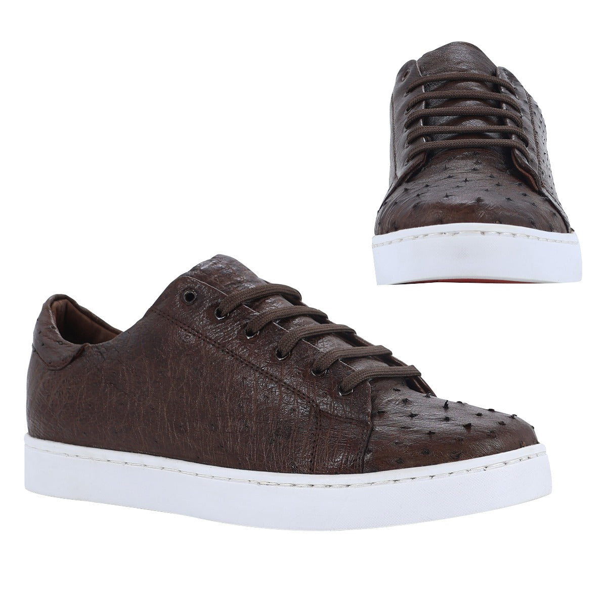 Max Avestruz Tabaco