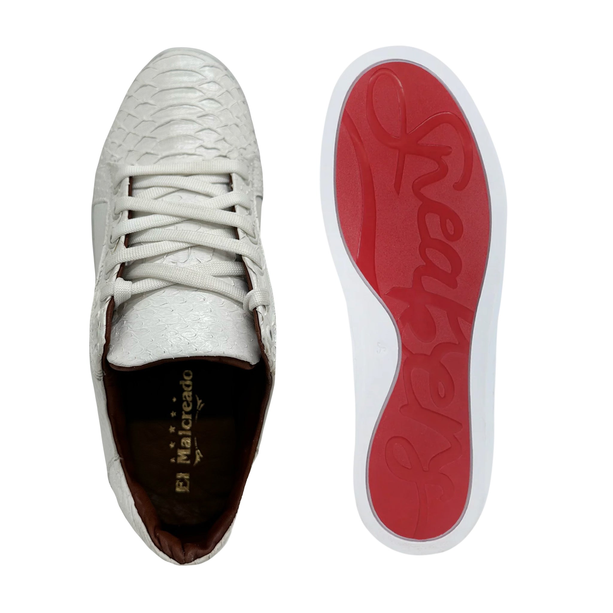 Max Python Blanco