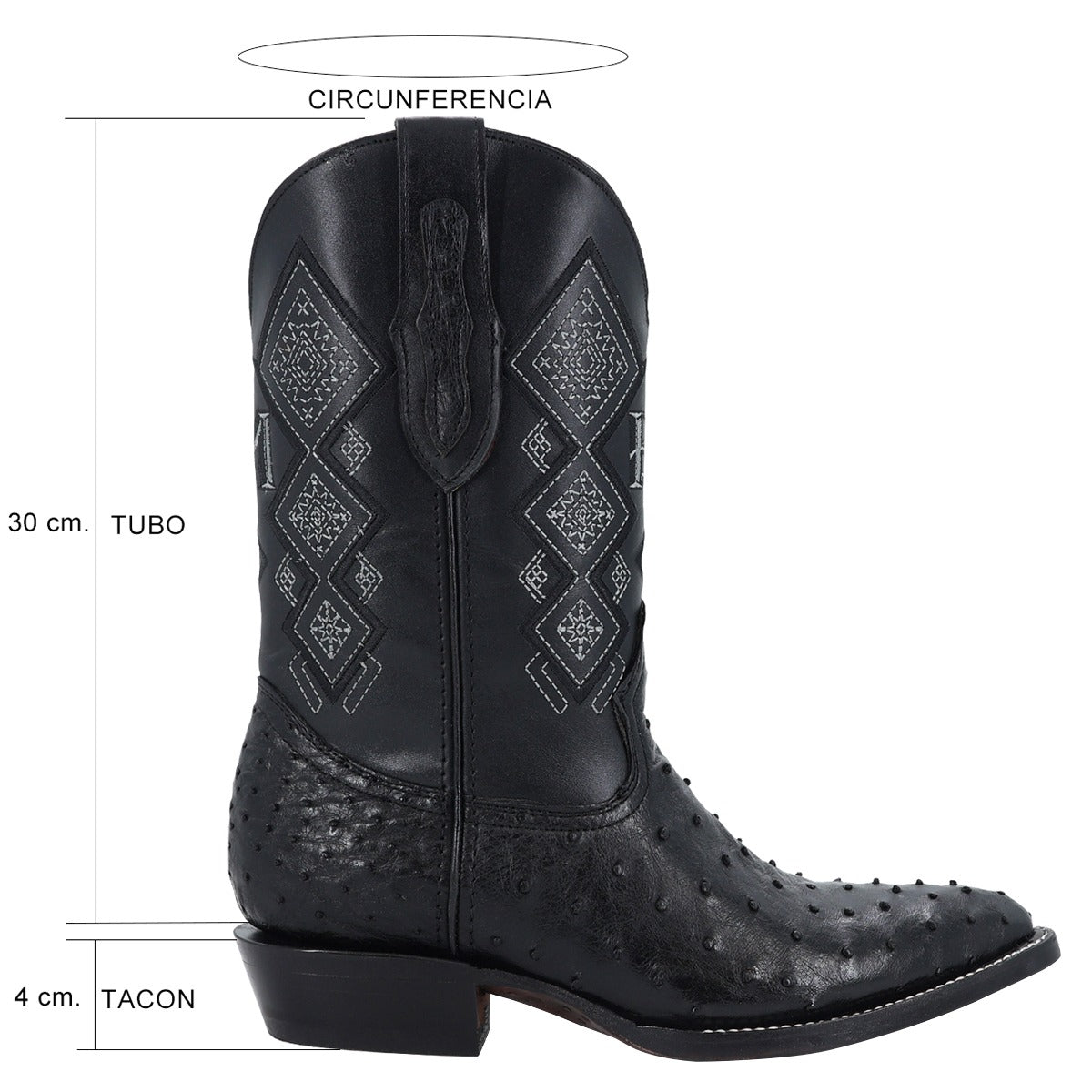 Avestruz Oval Negro