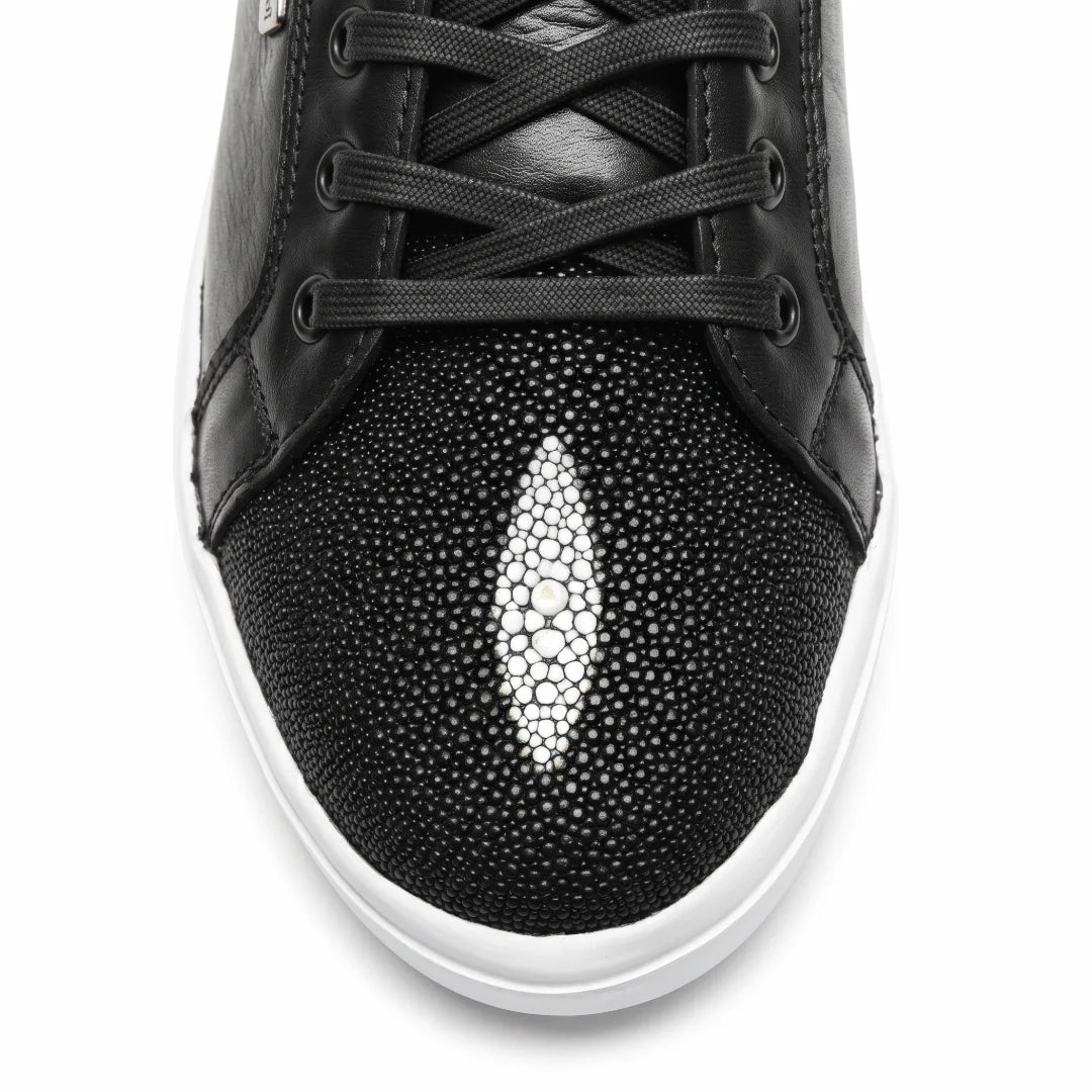 Tenis Alfa Mantarraya