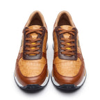 Tenis Alligator color Miel